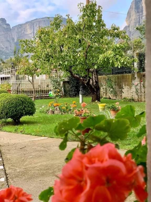 Apartament Meteora View Garden Kalambaka Zewnętrze zdjęcie