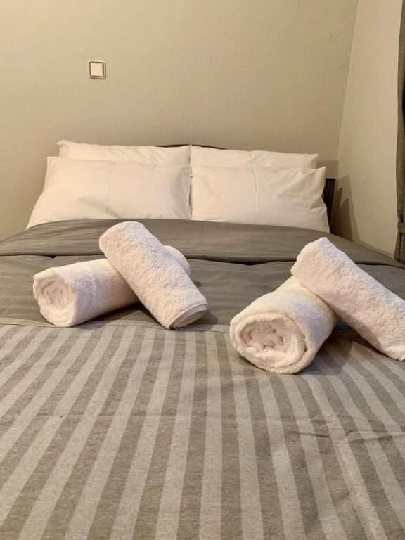 Apartament Meteora View Garden Kalambaka Zewnętrze zdjęcie
